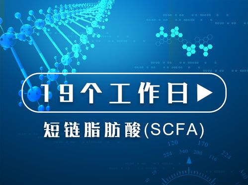 質(zhì)譜服務的價格、采購與供應商信息詳解
